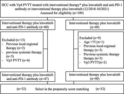 Combined iodine-125 seed strand, portal vein stent, transarterial chemoembolization, lenvatinib and anti-PD-1 antibodies therapy for hepatocellular carcinoma and Vp4 portal vein tumor thrombus: A propensity-score analysis